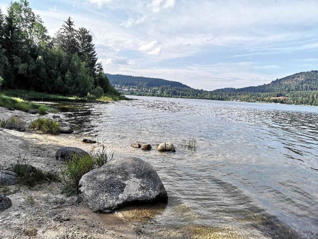Menzenschwand-Hinterdorf C1 Albmatte-Fewo Sauna, Hallenbad Aussenbecken Massagen Nebenan מראה חיצוני תמונה