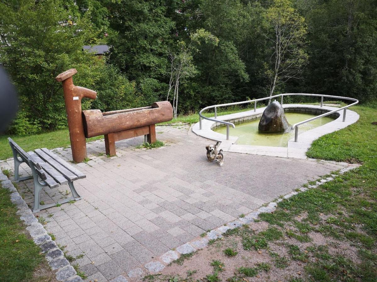 Menzenschwand-Hinterdorf C1 Albmatte-Fewo Sauna, Hallenbad Aussenbecken Massagen Nebenan מראה חיצוני תמונה