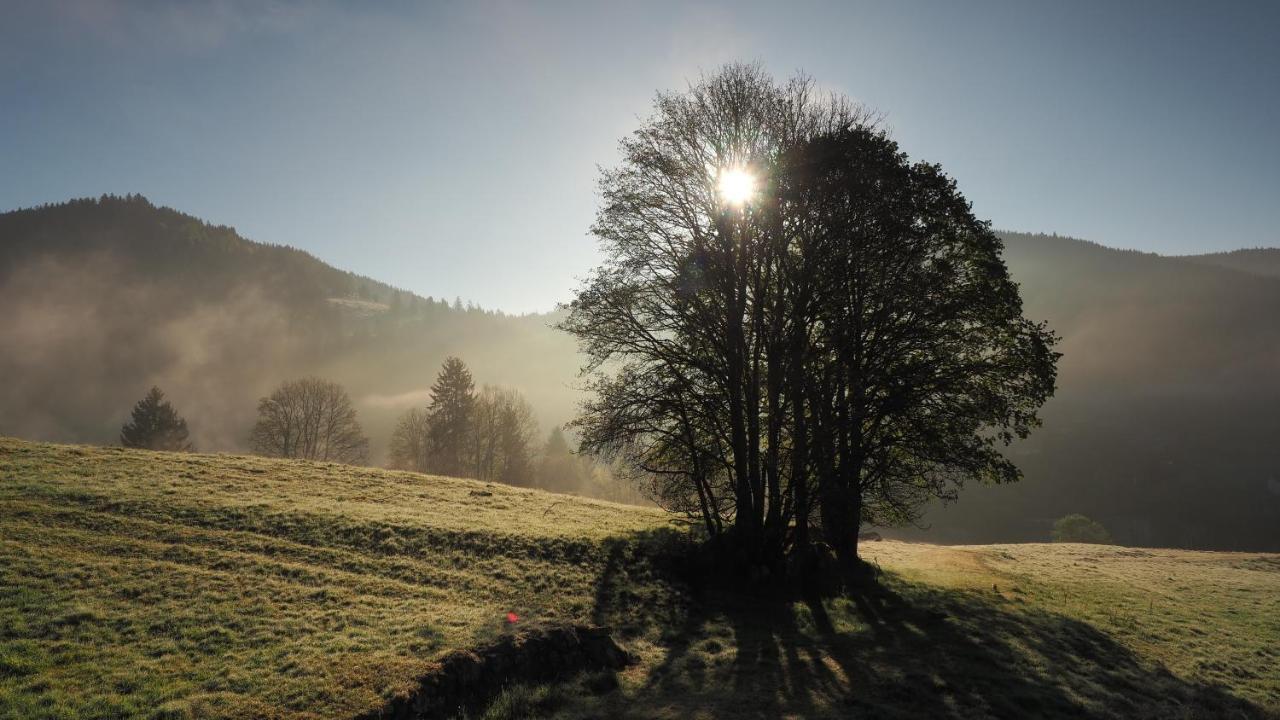 Menzenschwand-Hinterdorf C1 Albmatte-Fewo Sauna, Hallenbad Aussenbecken Massagen Nebenan מראה חיצוני תמונה