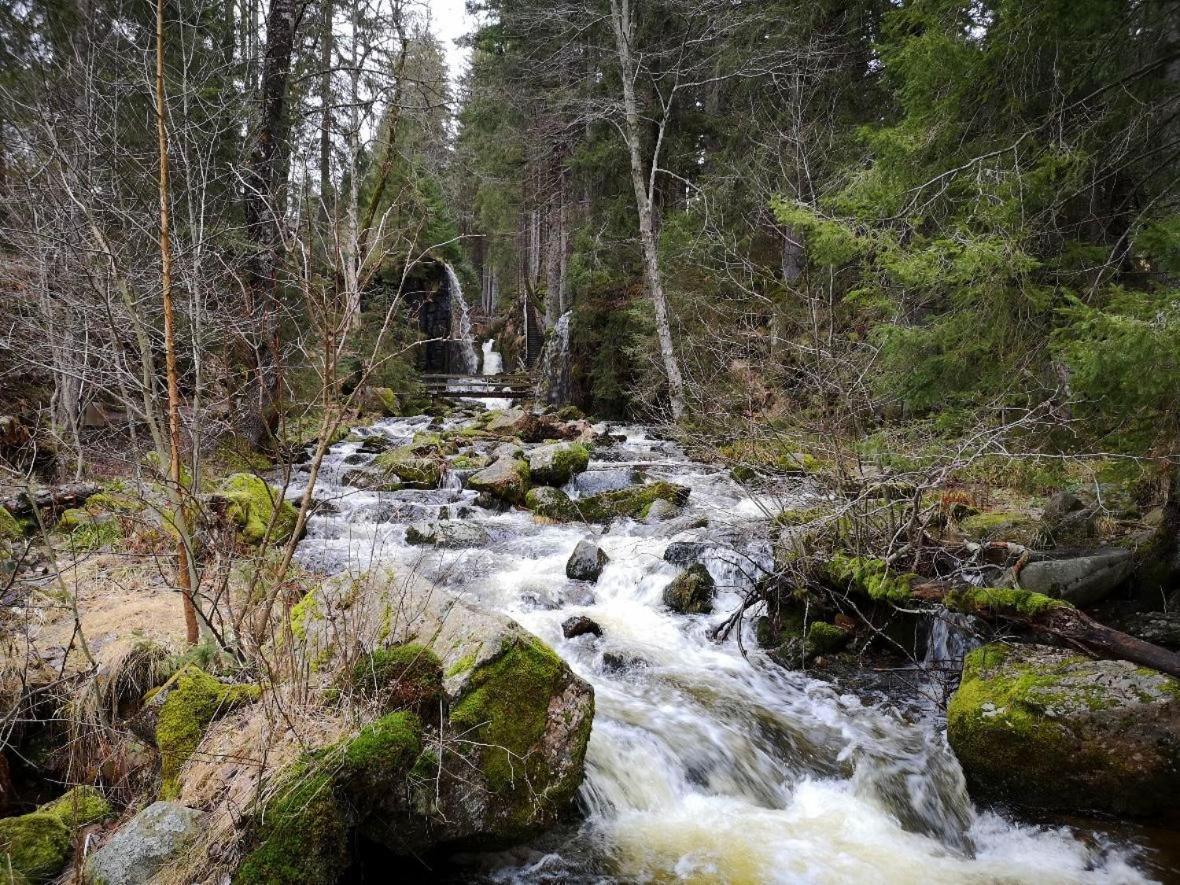 Menzenschwand-Hinterdorf C1 Albmatte-Fewo Sauna, Hallenbad Aussenbecken Massagen Nebenan מראה חיצוני תמונה