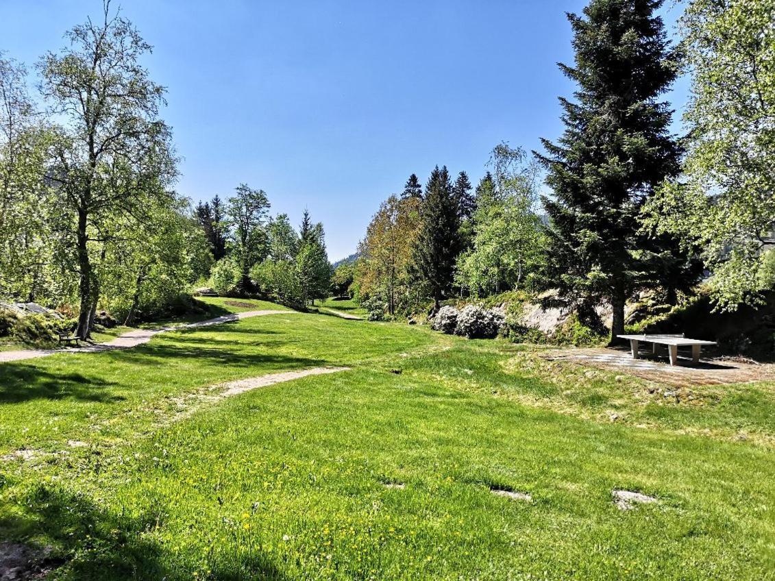 Menzenschwand-Hinterdorf C1 Albmatte-Fewo Sauna, Hallenbad Aussenbecken Massagen Nebenan מראה חיצוני תמונה