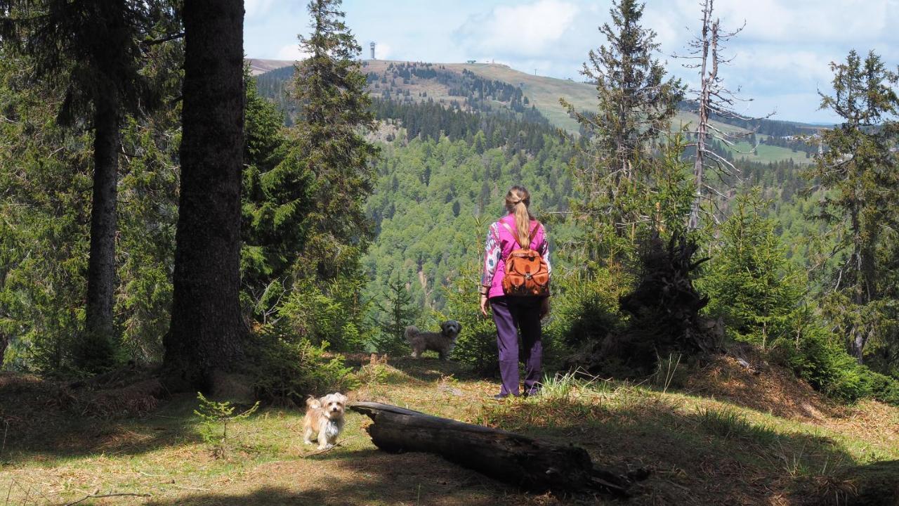 Menzenschwand-Hinterdorf C1 Albmatte-Fewo Sauna, Hallenbad Aussenbecken Massagen Nebenan מראה חיצוני תמונה