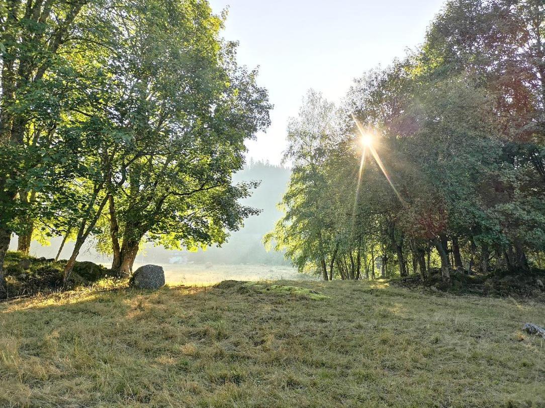 Menzenschwand-Hinterdorf C1 Albmatte-Fewo Sauna, Hallenbad Aussenbecken Massagen Nebenan מראה חיצוני תמונה