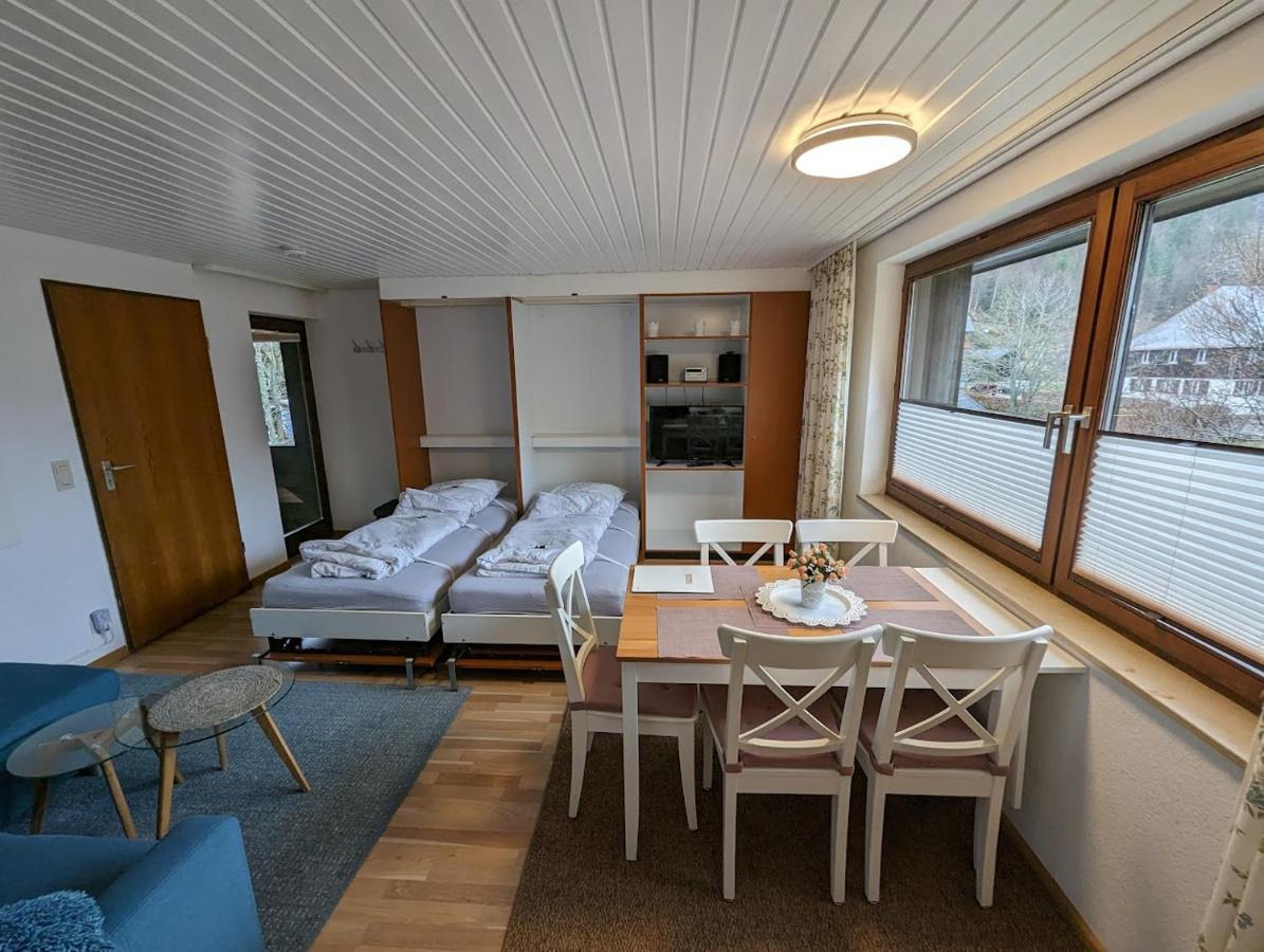 Menzenschwand-Hinterdorf C1 Albmatte-Fewo Sauna, Hallenbad Aussenbecken Massagen Nebenan מראה חיצוני תמונה
