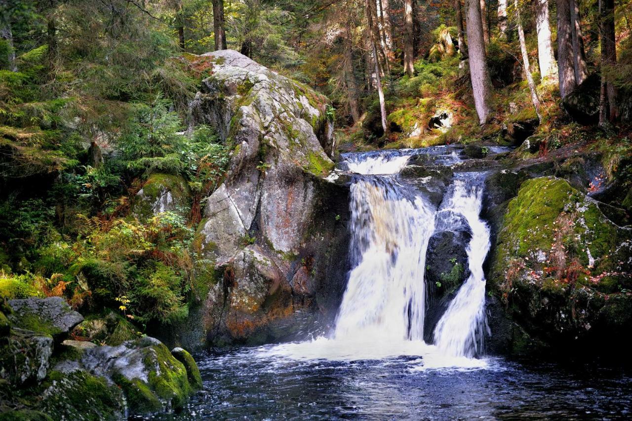 Menzenschwand-Hinterdorf C1 Albmatte-Fewo Sauna, Hallenbad Aussenbecken Massagen Nebenan מראה חיצוני תמונה