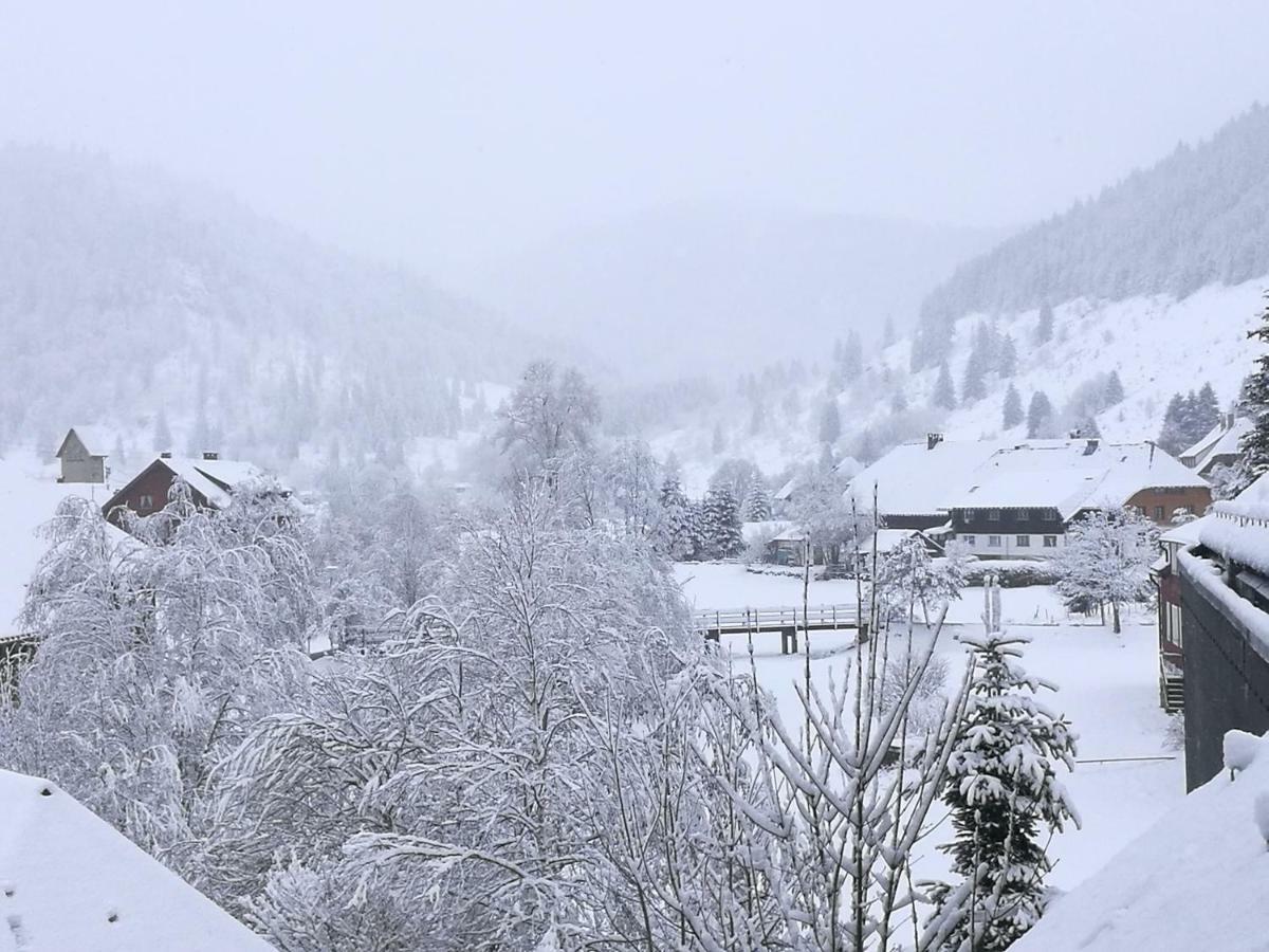 Menzenschwand-Hinterdorf C1 Albmatte-Fewo Sauna, Hallenbad Aussenbecken Massagen Nebenan מראה חיצוני תמונה