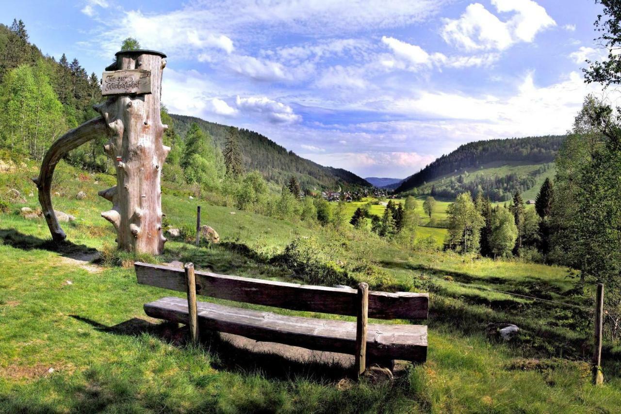 Menzenschwand-Hinterdorf C1 Albmatte-Fewo Sauna, Hallenbad Aussenbecken Massagen Nebenan מראה חיצוני תמונה